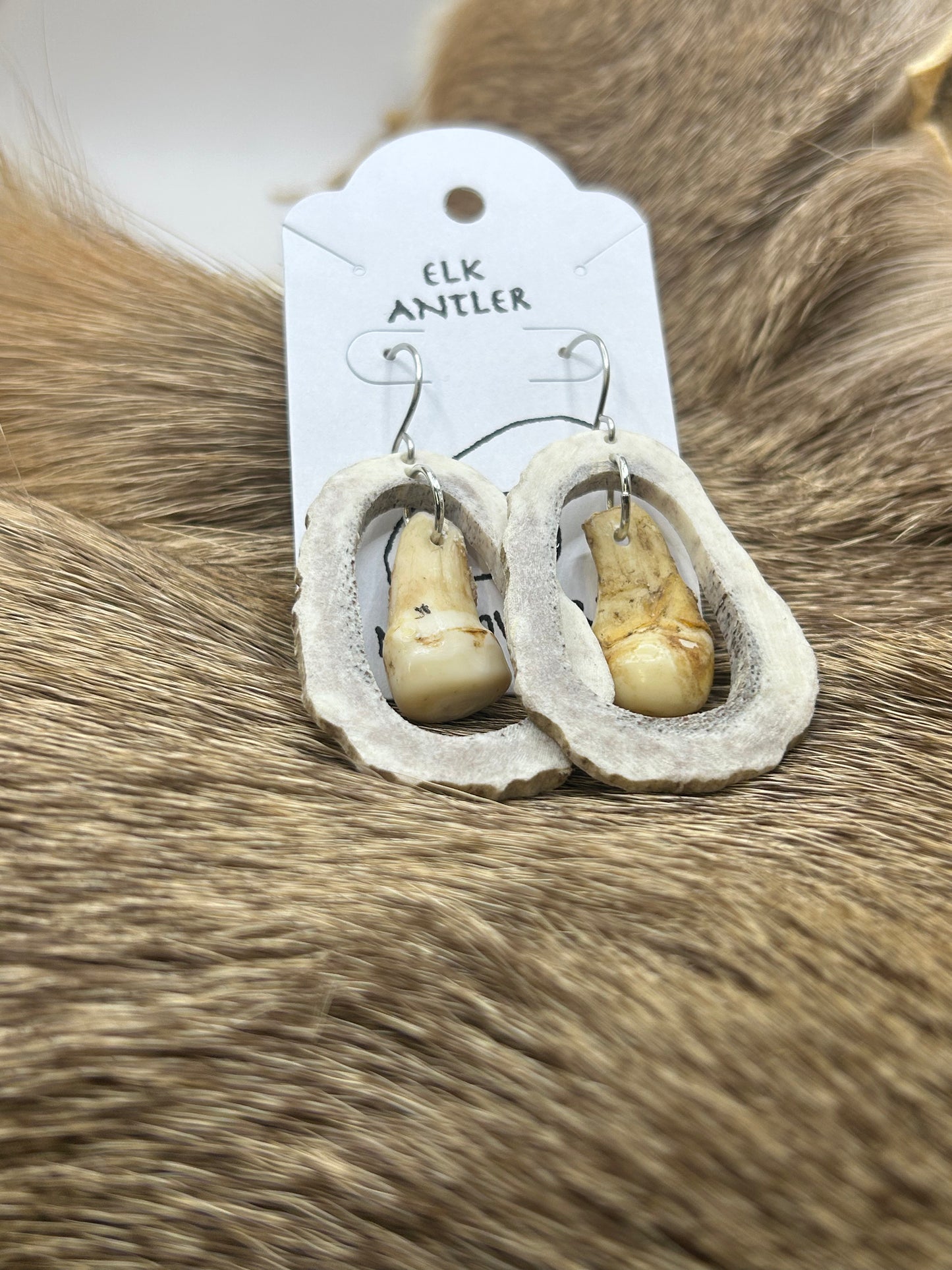 Elk antler and Ivory