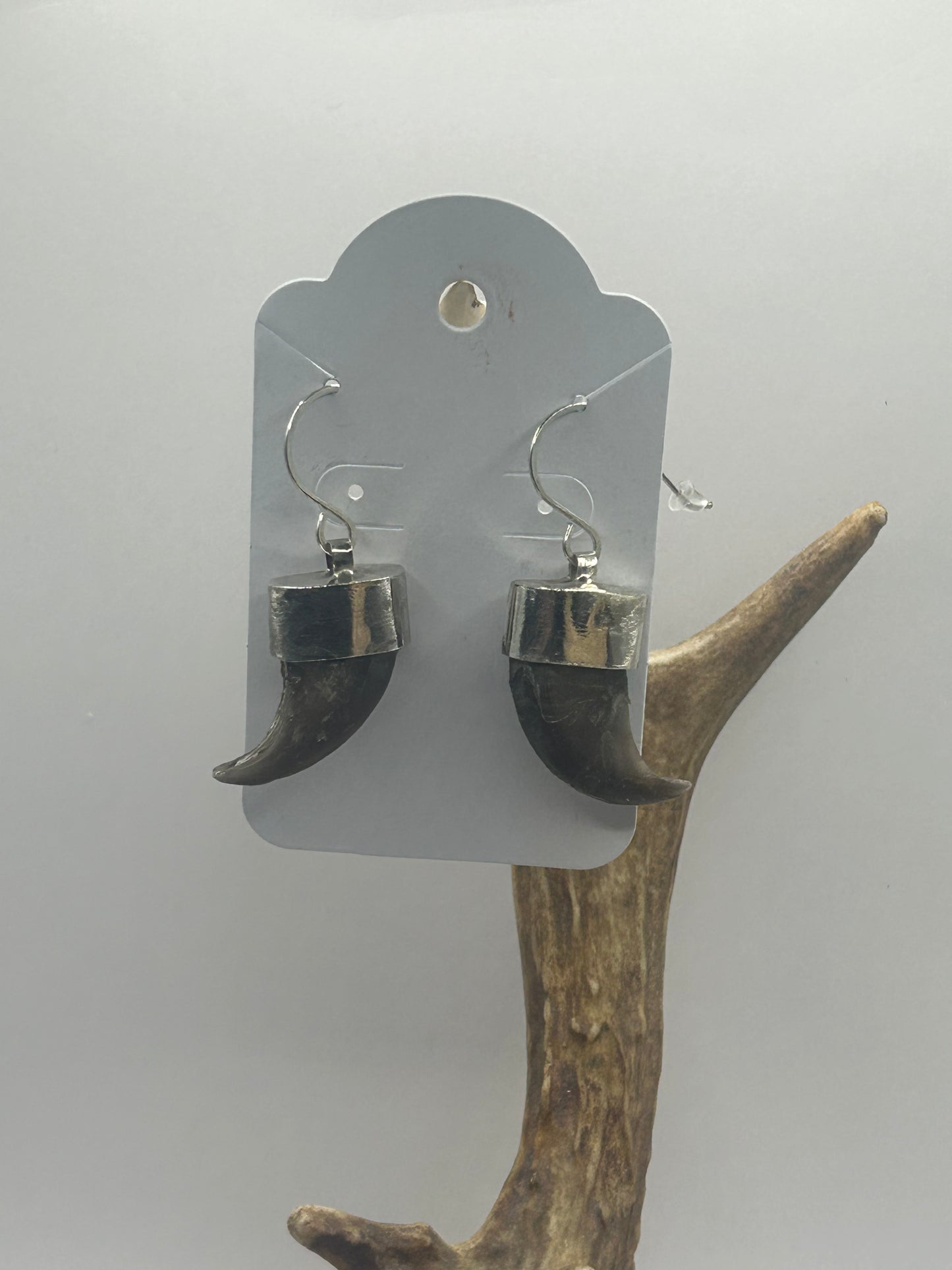 Black Bear Claw Earrings