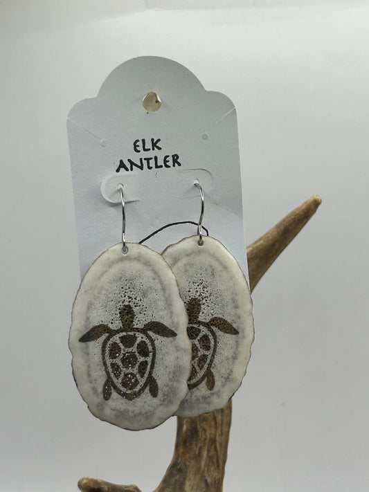 Engraved Turtle