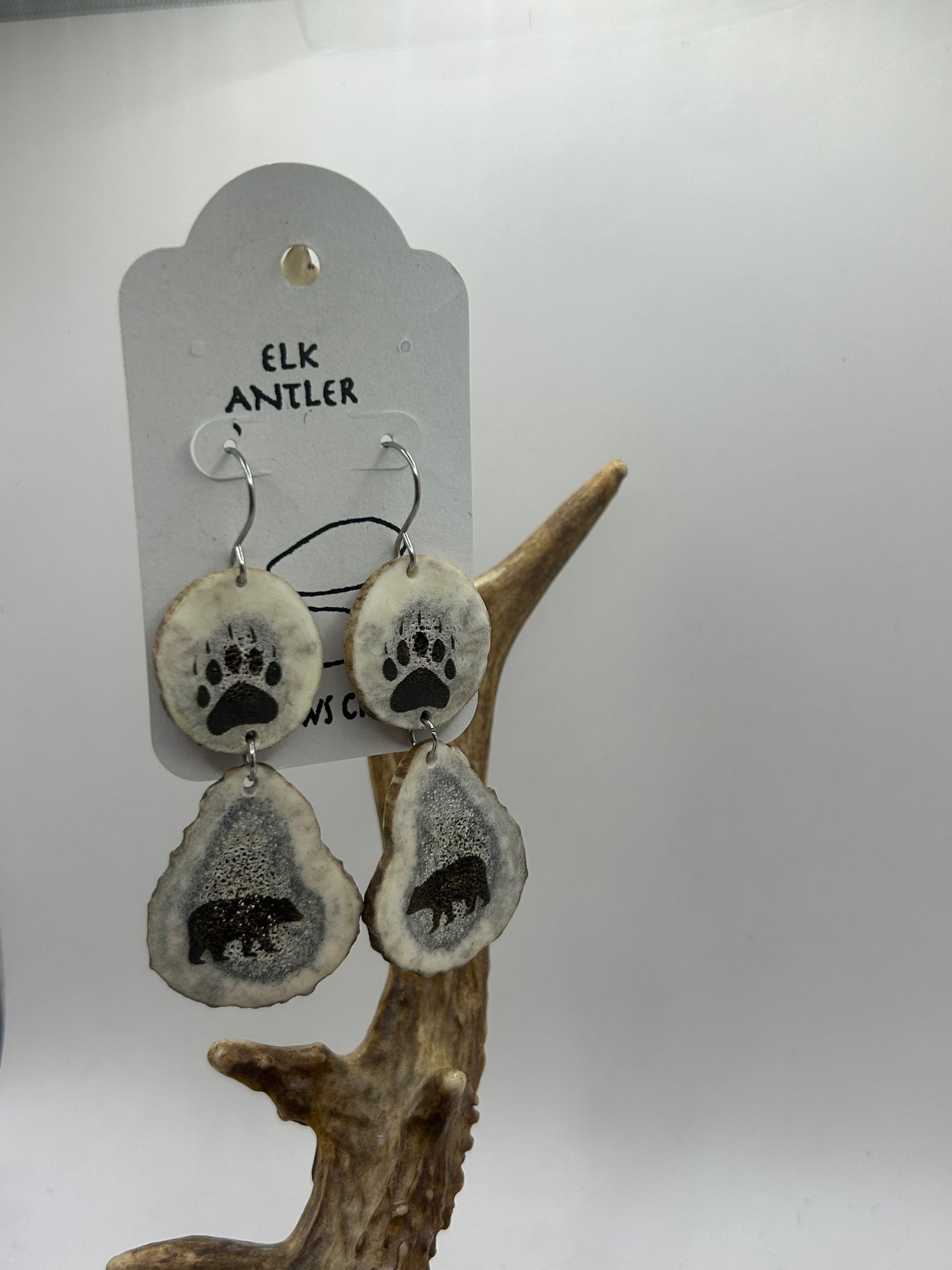 Engraved bear and paws