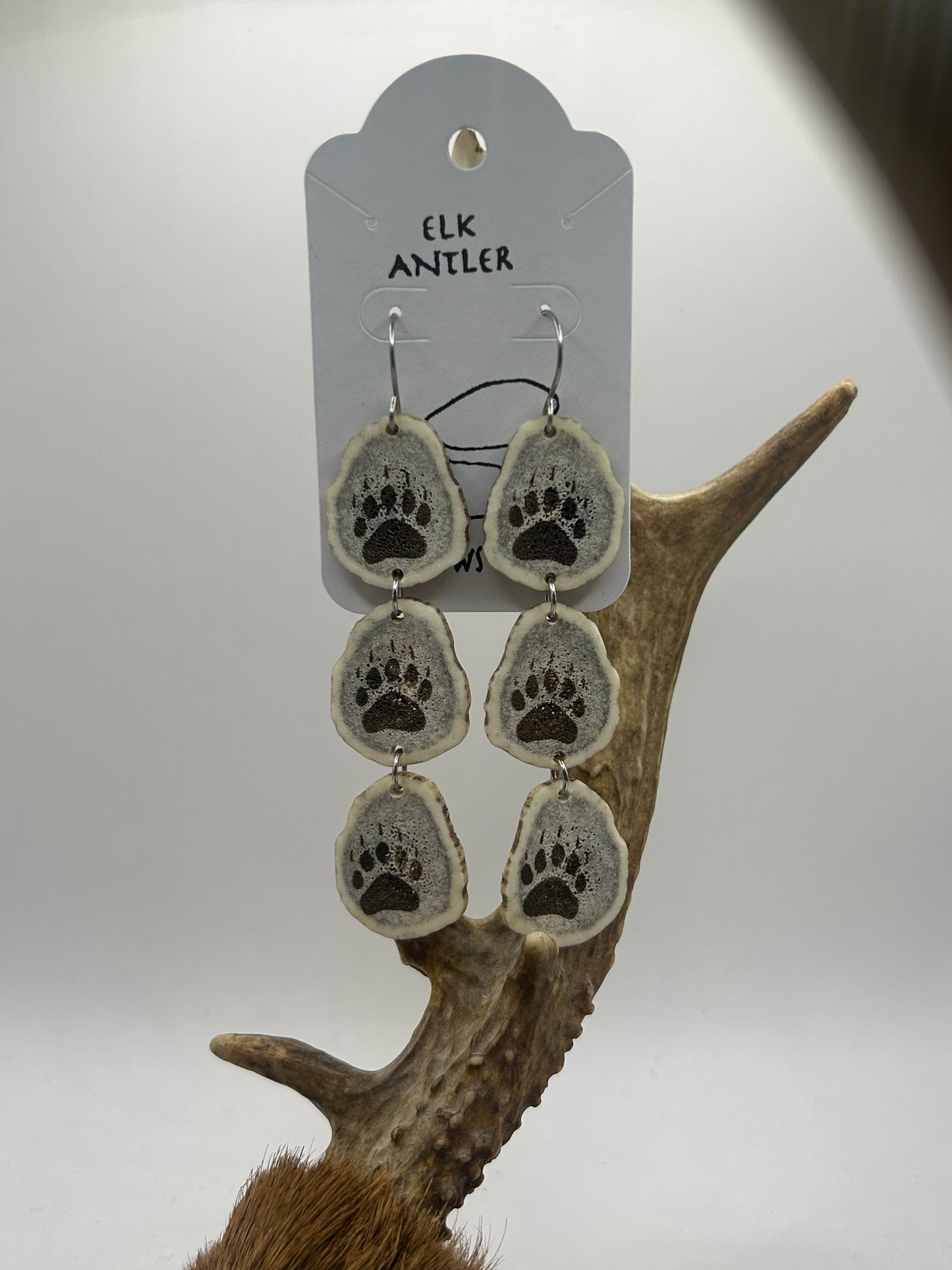 Engraved Bear Paw Chain