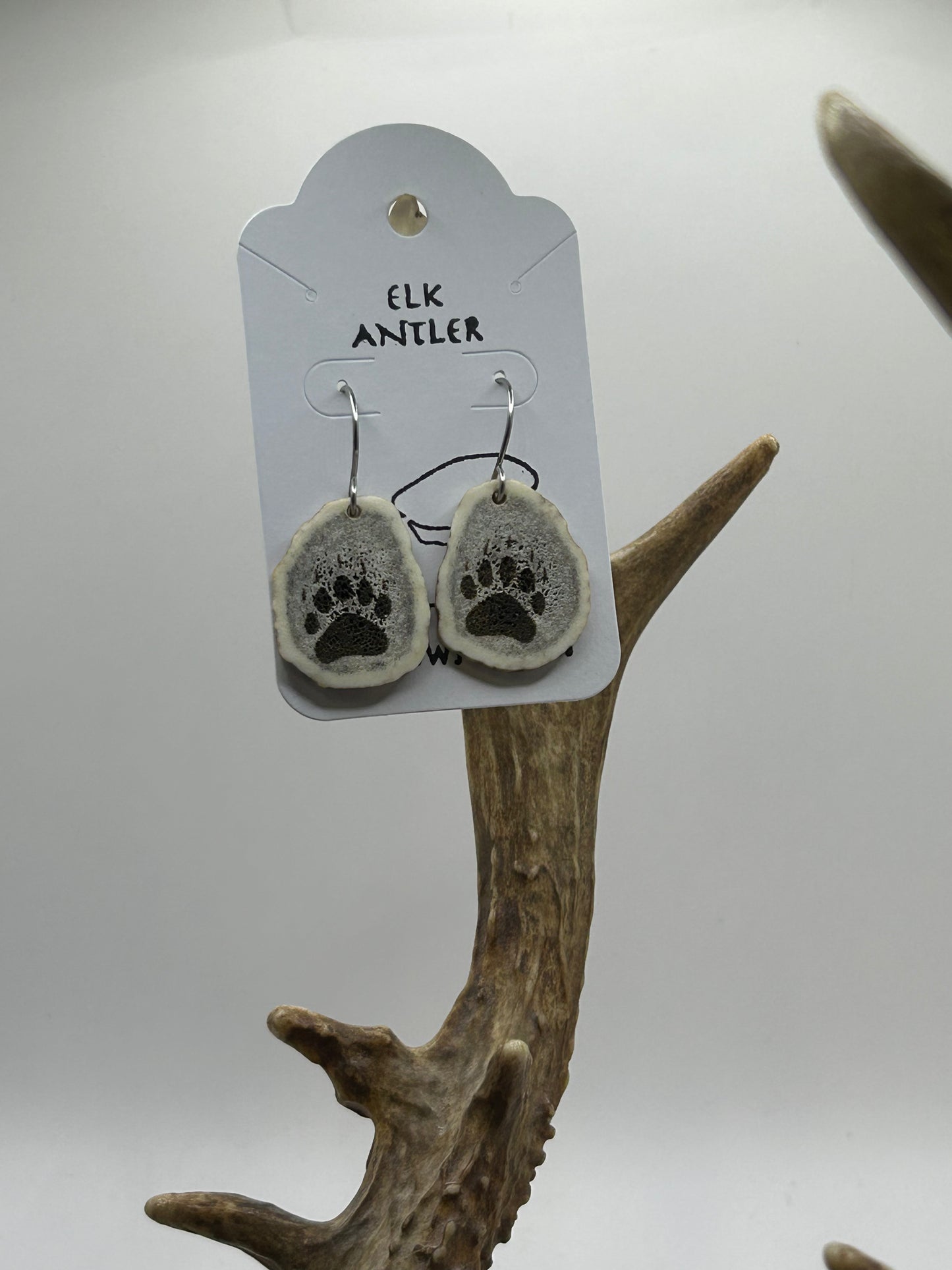 Engraved paws