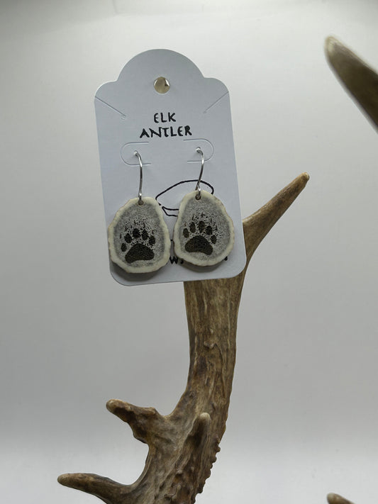 Engraved paws