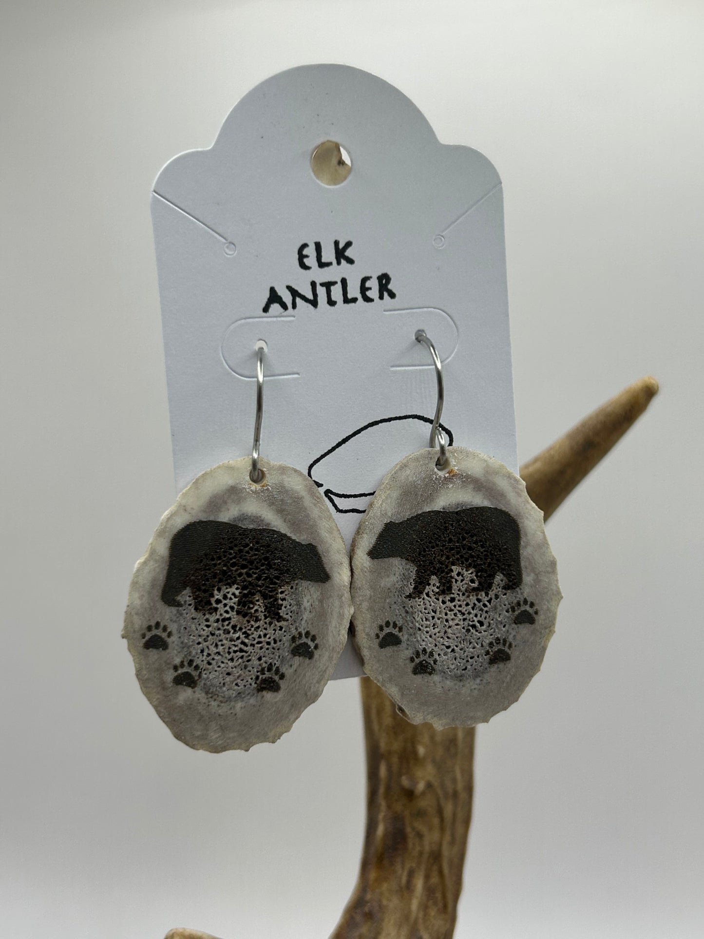 Engraved Bear with Paws Single